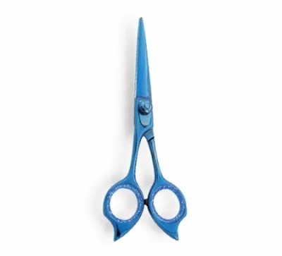 Professional Hair Cutting Scissor